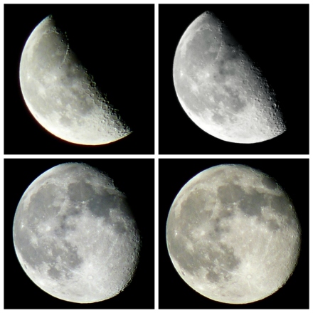 Moon Collage